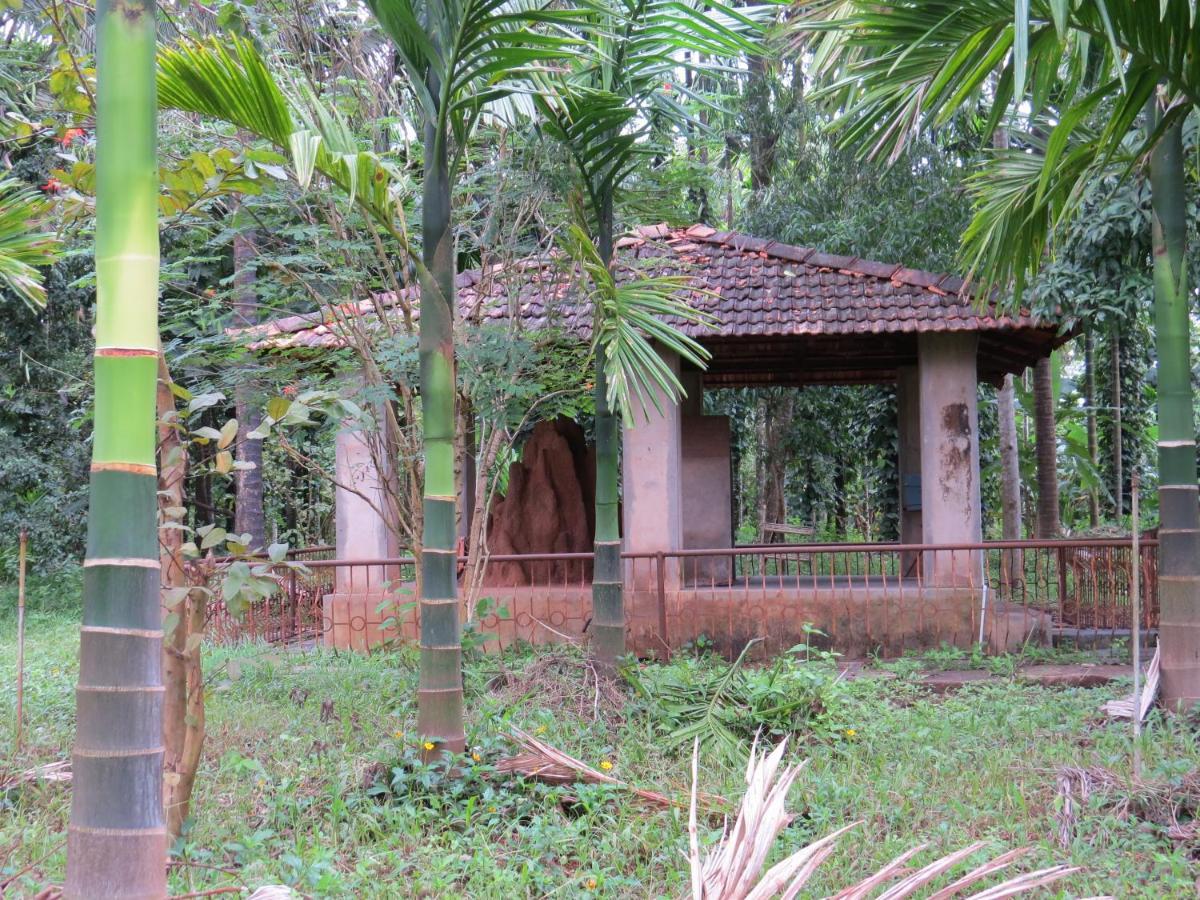 Sugamya Farm Guesthouse 萨格尔 外观 照片