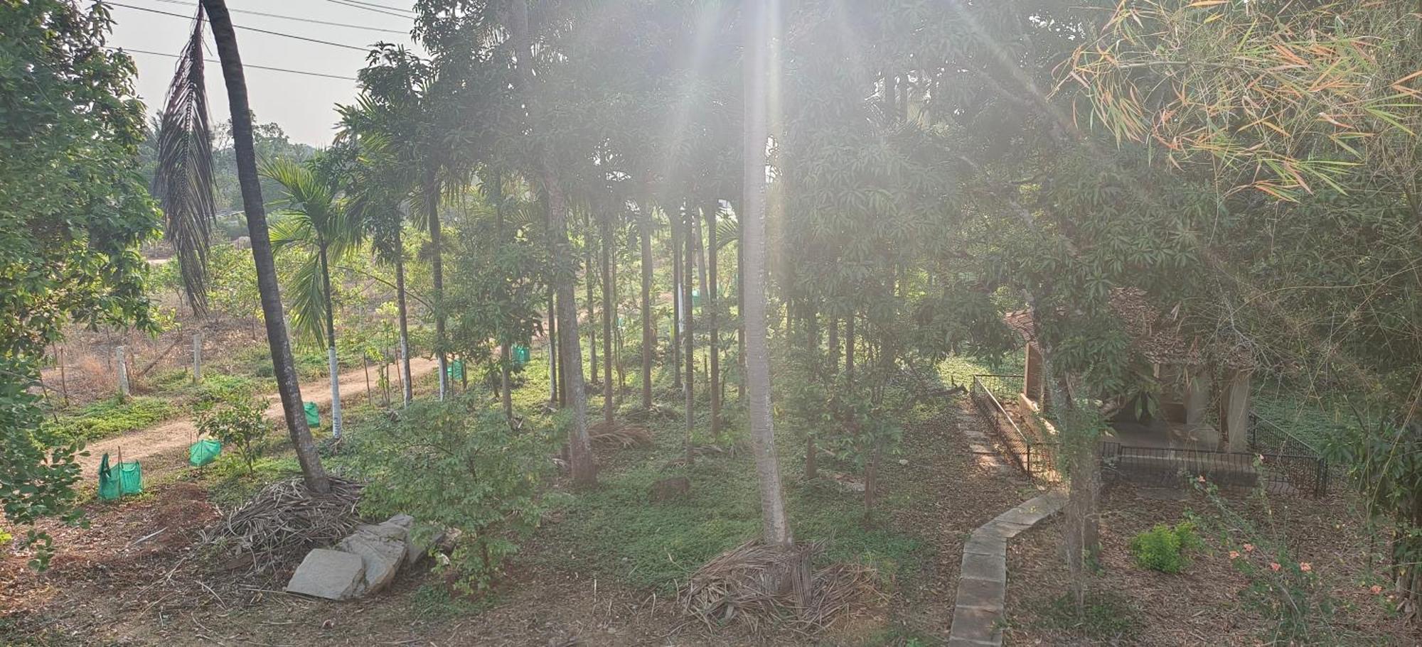 Sugamya Farm Guesthouse 萨格尔 客房 照片