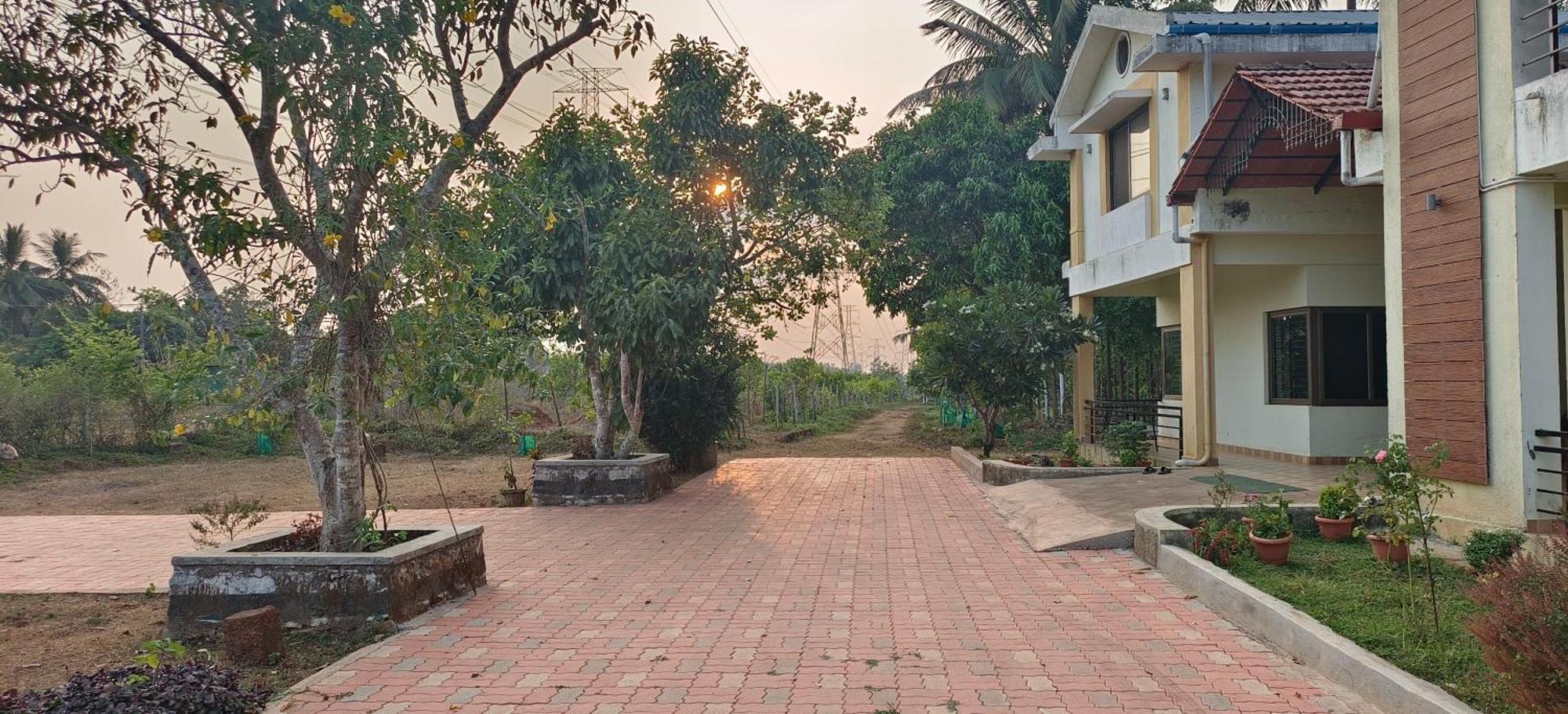 Sugamya Farm Guesthouse 萨格尔 外观 照片