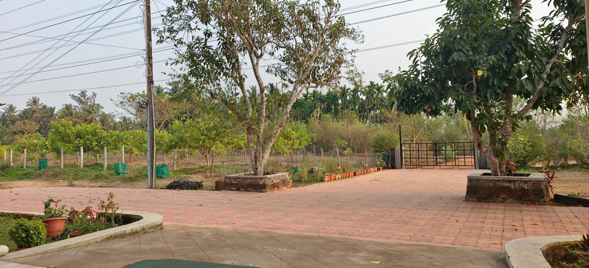 Sugamya Farm Guesthouse 萨格尔 外观 照片